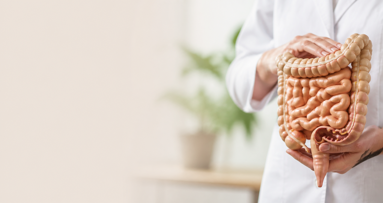 Microbiota e GLP-1: eixo metabólico estratégico para o raciocínio clínico