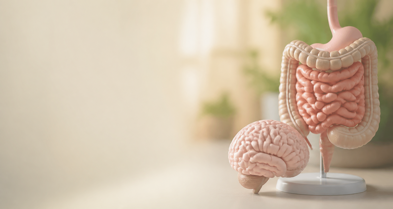Eixo intestino-cérebro: caminhos para avaliação