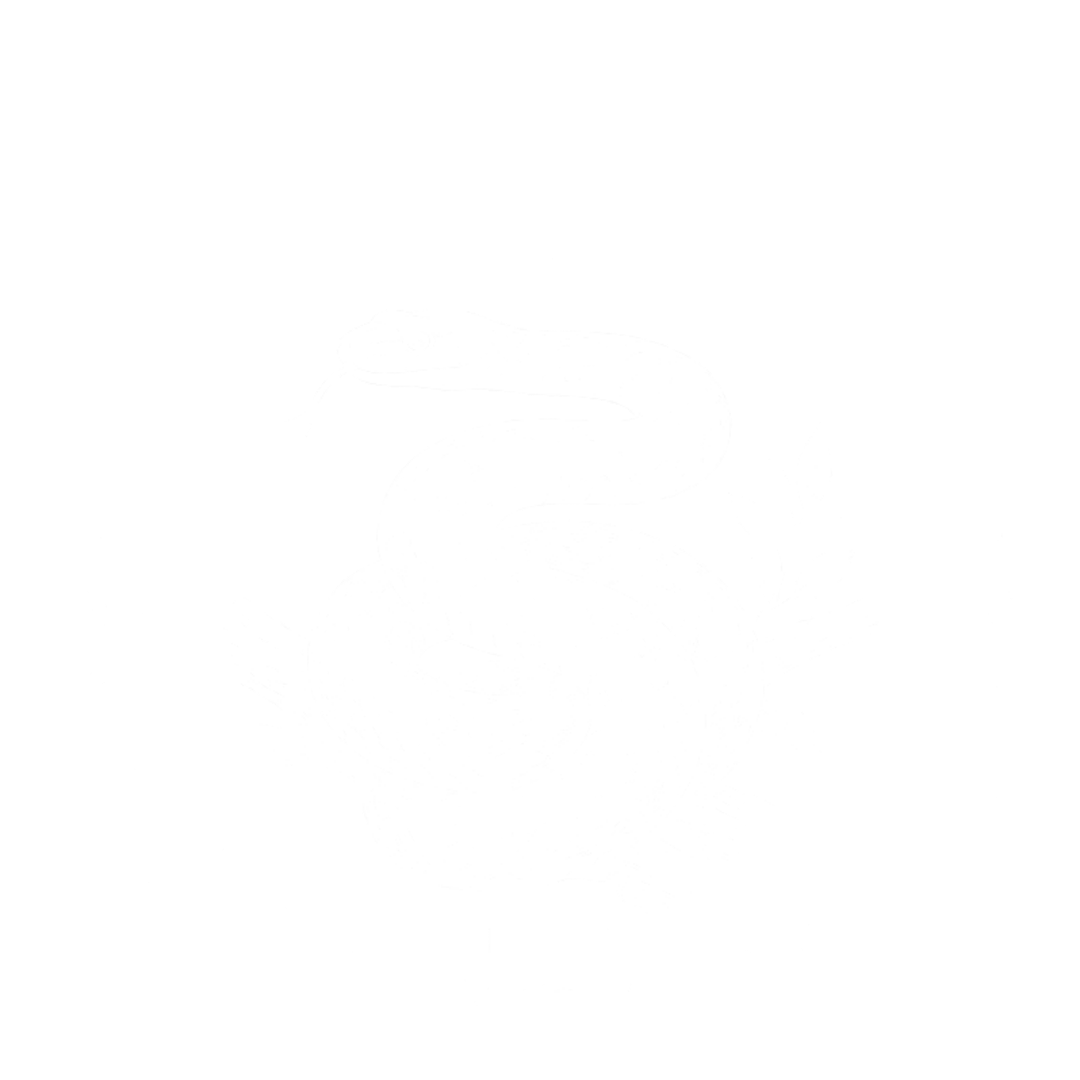 SERPENTES INSelva – Congresso Online de Medicina e Manejo de Serpentes